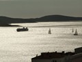 Sailboats on the Sea by Hvar, Croatia