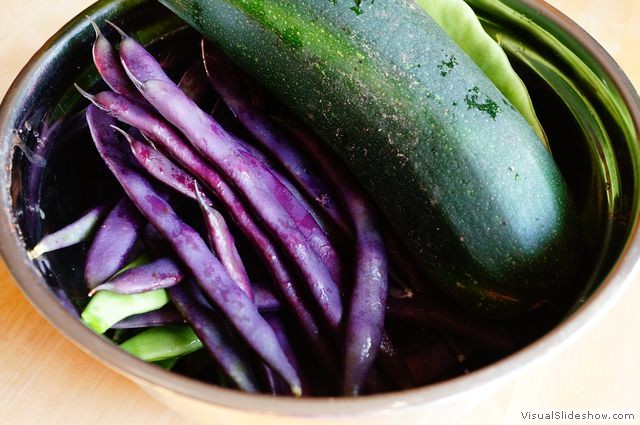 Purple Bean and Huge Zucchini 1