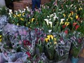 Calla Lilies at Taste of the Food Terminal