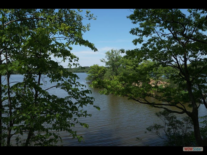 Cootes Paradise, Burlington 01