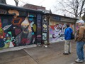 Parrot Graffiti near the Kensington Market