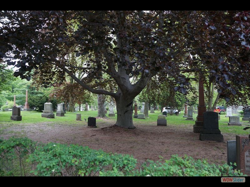 Toronto Necropolis Cemetery 01