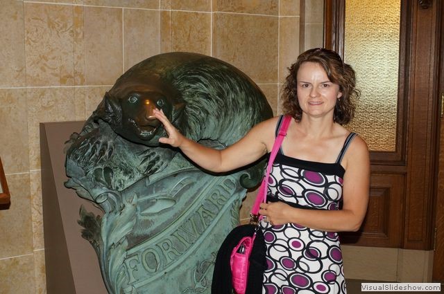 Wisconsin Capitol Building, USS Wisconsin Lucky Badger