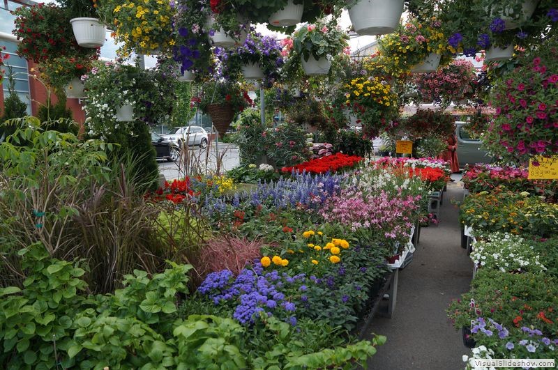 Atwater Market - Flowers 1