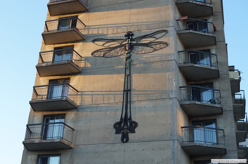 Dragonfly on Apartment Building