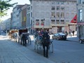 Horses with Carriages, Old Montreal