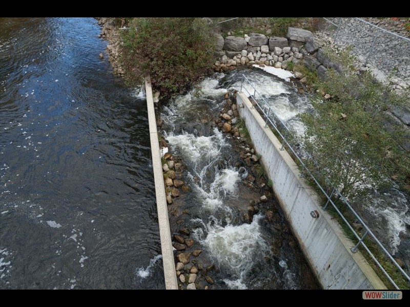 Thornbury - Fish Ladder 1