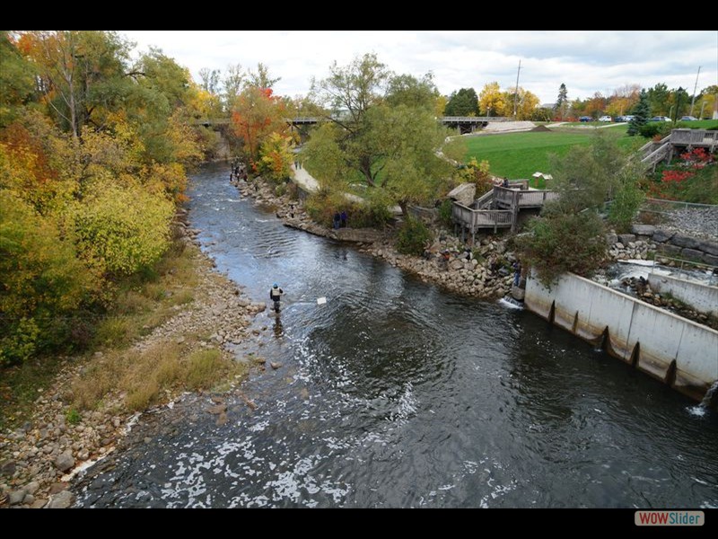 Thornbury - Fishing on the Beaver