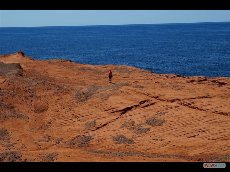 Cap du Phare 33 - Rhonda on Cap