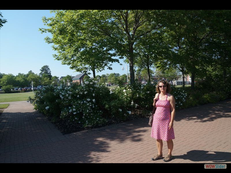 Downtown PEI 01 - Rhonda by Flowers